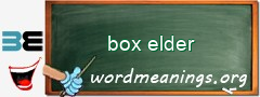 WordMeaning blackboard for box elder